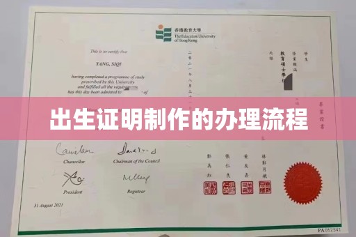 洮南出生证明制作的办理流程